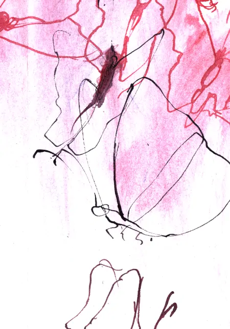 319_Motyle czerwone 3 - obrazek 2