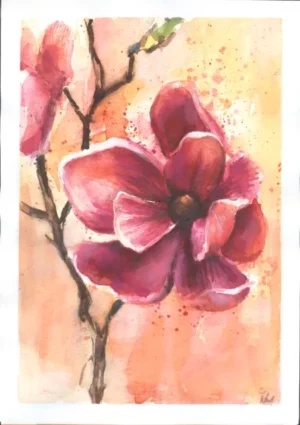 426_Różowa magnolia